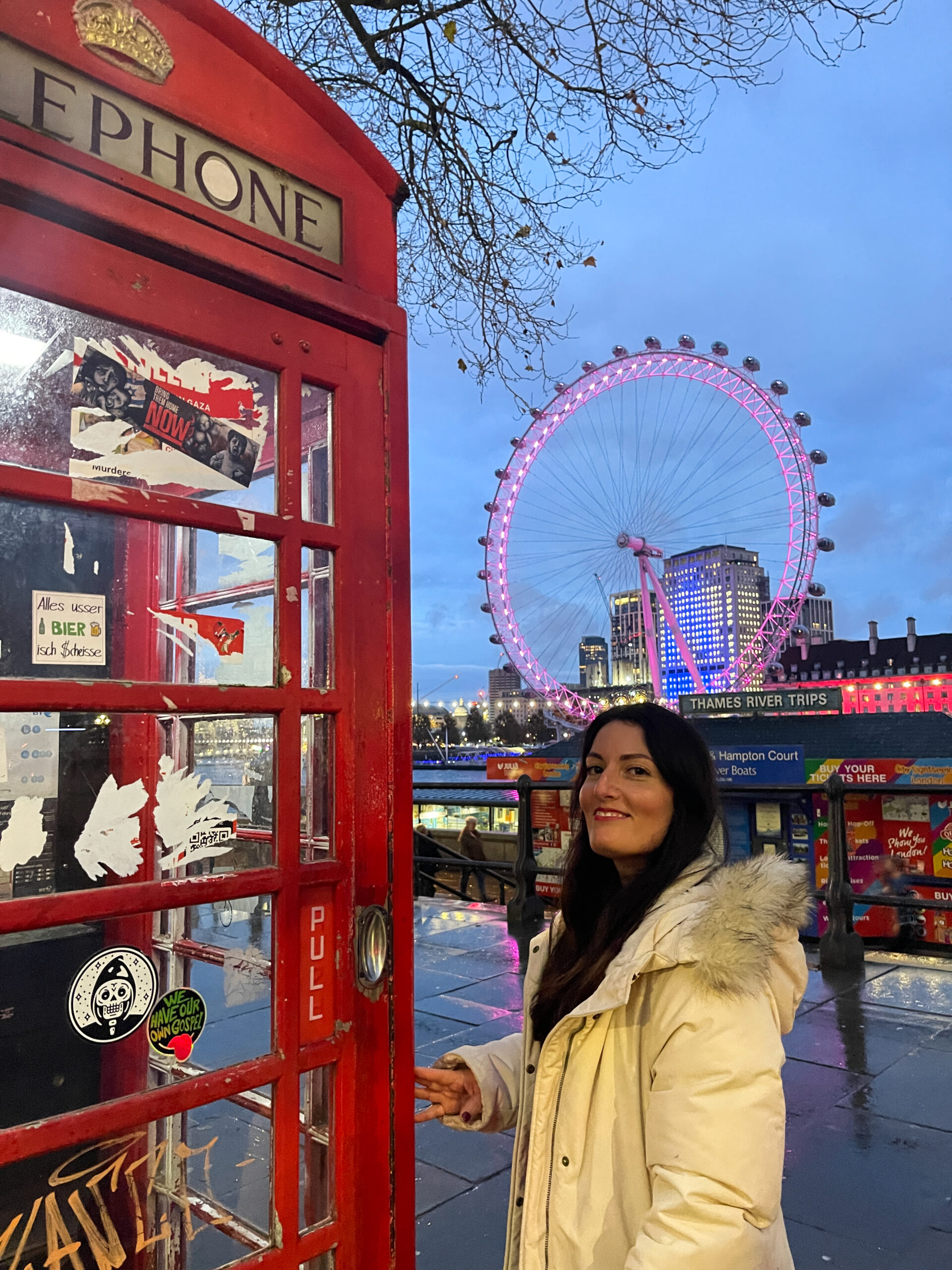 canine téléphonique rouge, london eyes, la ville lumineuse et une personne devant