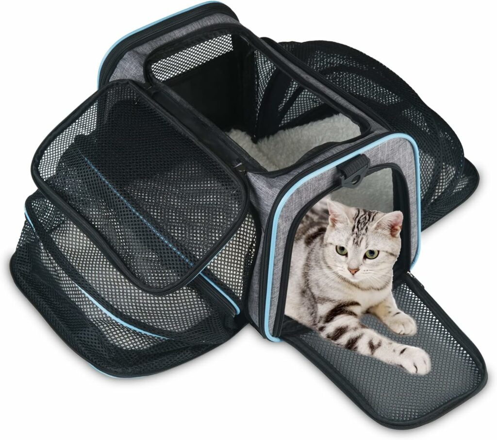 sac de transport avec un chat à l'intérieur