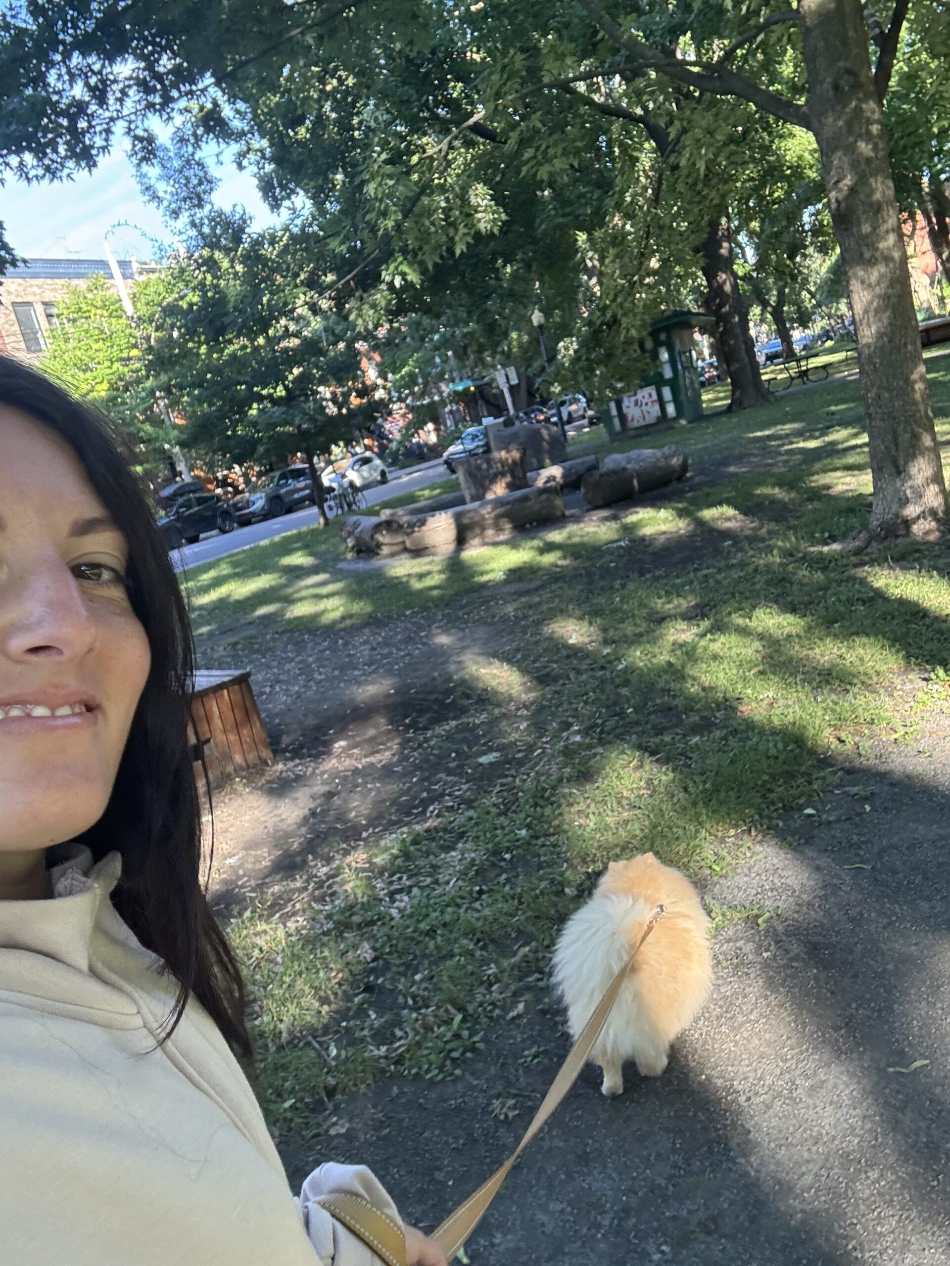 promener son chien a montreal