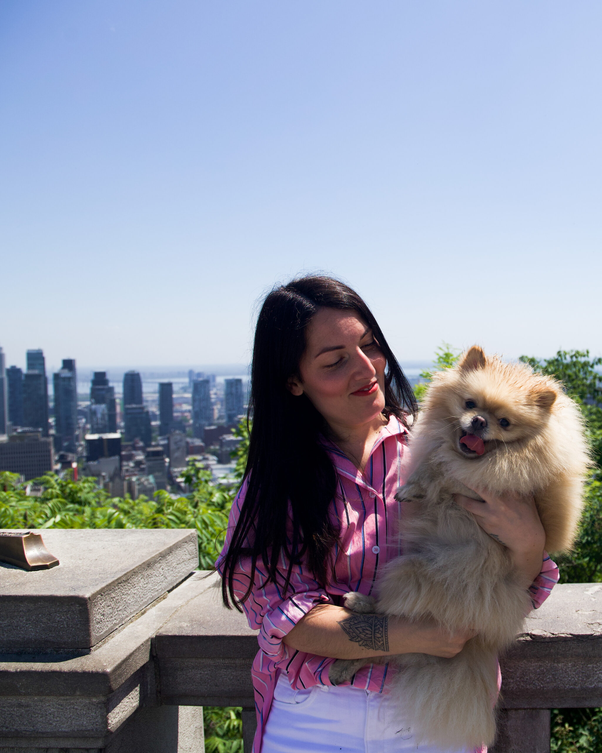Personne en PVT Canada Montréal tenant son chien au belvédère du Mont-Royal