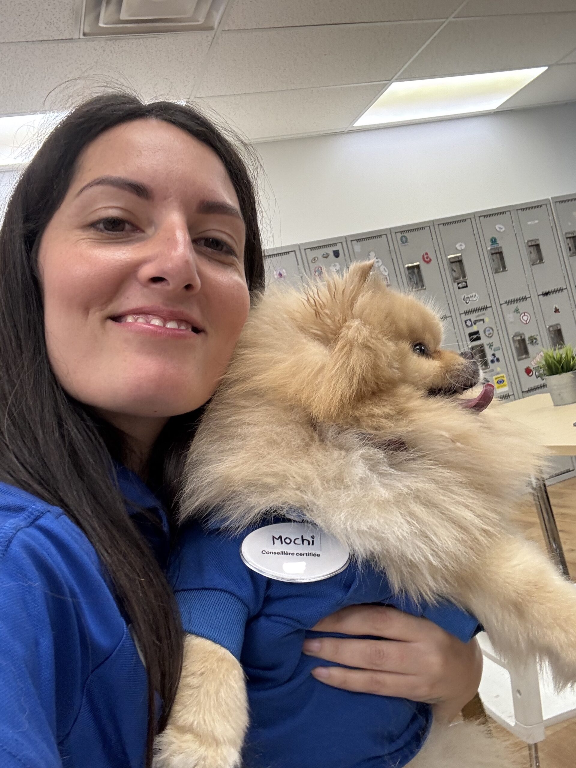 travailler a montreal